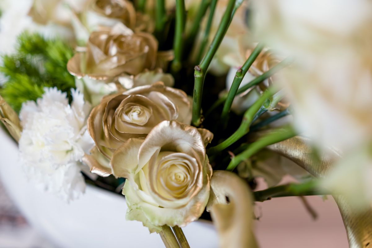 Zweiter Jahrestag der Wiedereröffnung des Restaurants im Luisenhof Dresden